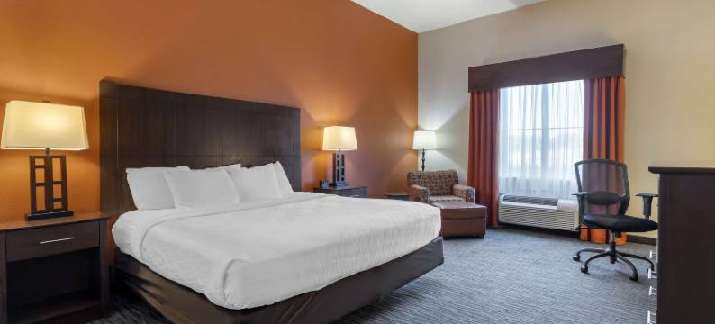 贝斯特韦斯特优质长角优质套房酒店(BestWestern Plus Luling Inn)图片