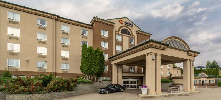 舒适套房酒店(Comfort Inn & Suites)图片