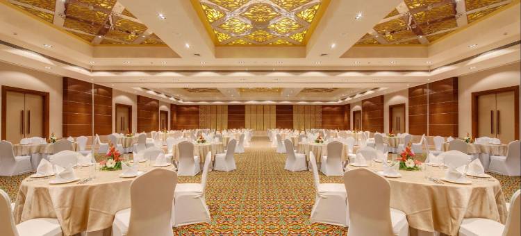 索拉普尔巴拉吉萨罗瓦尔高级酒店(Balaji Sarovar Premiere Solapur)图片