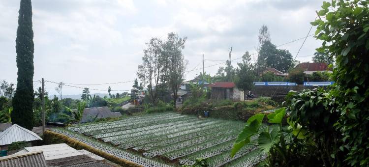 RedDoorz Near Candi Sukuh Karanganyar图片