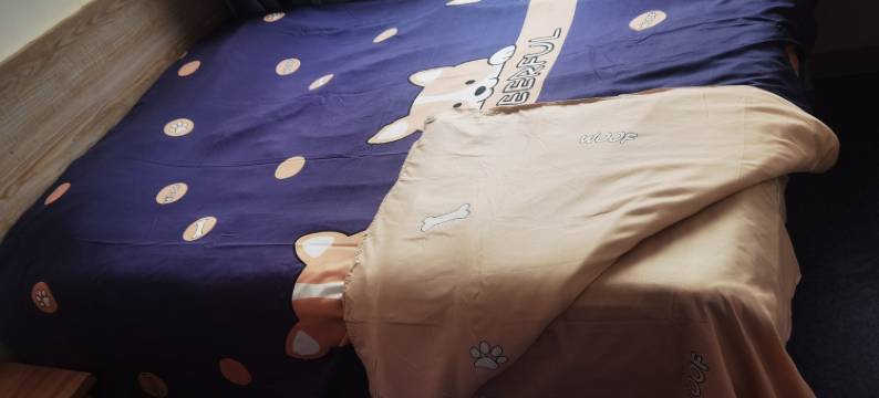 你在滨海的家客栈(杨树街分店)图片