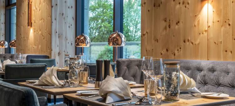 英戈尔斯塔特马里蒂姆酒店(Maritim Hotel Ingolstadt)图片