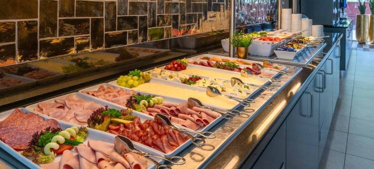 卡尔斯鲁厄名品广场酒店(PLAZA Premium Karlsruhe)图片