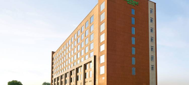 古尔冈 68 区索赫纳路柠檬树酒店(Lemon Tree Hotel, Sector 68, Sohna Road, Gurugram)图片