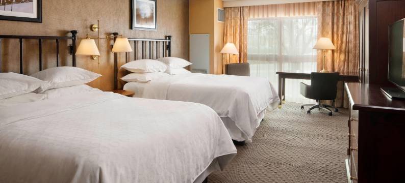 喜来登苏福尔斯酒店及会议中心(Sheraton Sioux Falls & Convention Center)图片