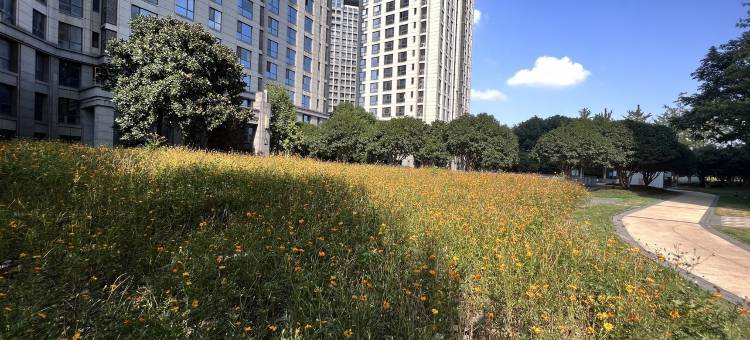 中冶昆庭公寓(太湖中路分店)图片