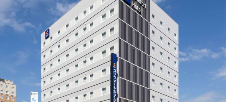 丰桥舒适酒店(Comfort Hotel Toyohashi)图片