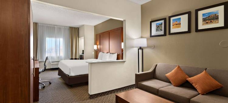 拉斯克鲁塞斯综合康福特套房套房(Comfort Suites University)图片