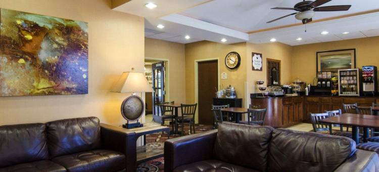 舒适套房酒店(Comfort Suites- Near University)图片