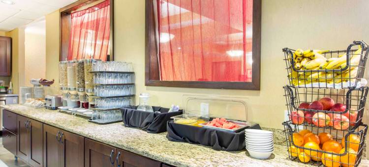 橡树酒店及套房(The Oaks Hotel & Suites)图片