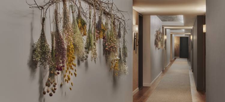 西好莱坞1号酒店(1 Hotel West Hollywood)图片