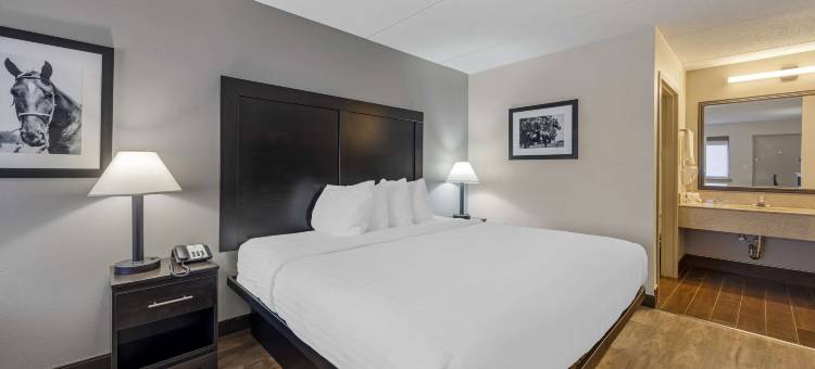 庆典贝斯特韦斯特套房酒店(Best Western Shelbyville Inn and Suites Celebration Inn)图片