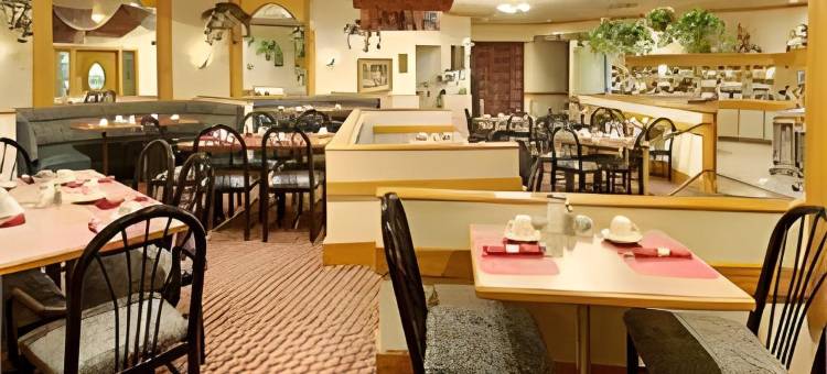 北哥伦布舒适套房酒店(Comfort Inn & Suites Columbus North)图片