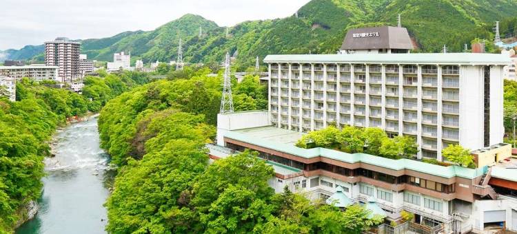 大江户温泉物语高级鬼怒川观光酒店(Ooedo Onsen Monogatari Premium Kinugawa Kanko Hotel)图片