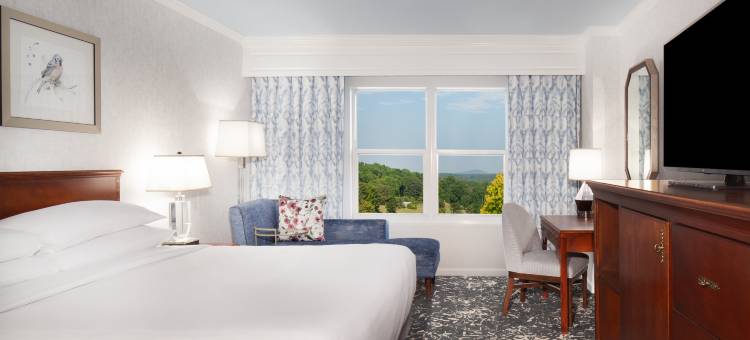 亚特兰大玛丽埃塔希尔顿酒店及会议中心(Hilton Atlanta/Marietta Hotel & Conference Center)图片