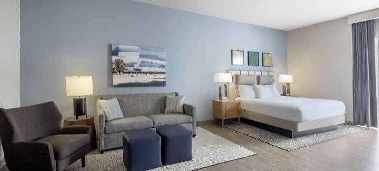 希尔顿保龄球绿色大使套房(Embassy Suites by Hilton Bowling Green)图片