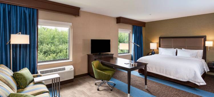 北德卢斯商场区欢朋套房酒店(Hampton Inn & Suites Duluth North/Mall Area)图片