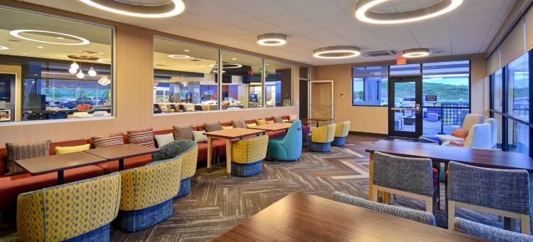 皮金福奇希尔顿Tru酒店(Tru by Hilton Pigeon Forge)图片