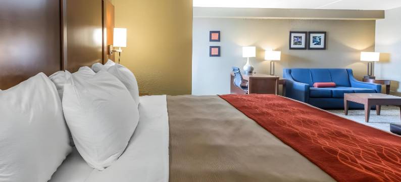 舒适套房酒店-诺克斯维尔西(Comfort Inn & Suites Knoxville West)图片