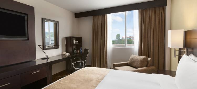 奎雷塔罗大希尔顿逸林酒店(DoubleTree by Hilton Queretaro)图片