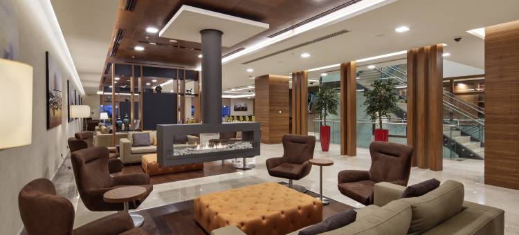 乔尔卢希尔顿花园酒店(Hilton Garden Inn Corlu)图片