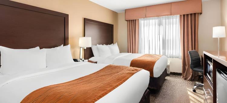 温馨酒店及套房温哥华市中心(Comfort Inn & Suites Vancouver Downtown City Center)图片