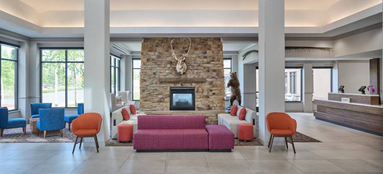 安克雷奇市希尔顿花园酒店(Hilton Garden Inn Anchorage)图片