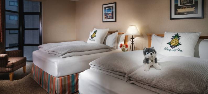 Staypineapple-大学旅馆-西雅图大学区(Staypineapple, University Inn, University District Seattle)图片