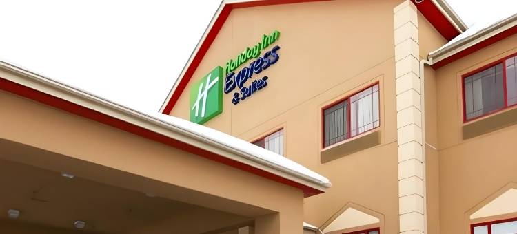 北奥拉西智选假日酒店及套房(Holiday Inn Express & Suites Olathe North)图片