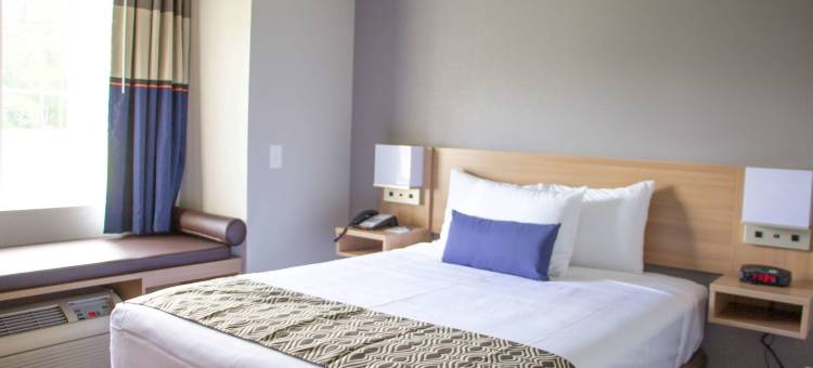 杰克森维尔勒琼营麦客达温德姆酒店(Microtel Inn & Suites by Wyndham Camp Lejeune/Jacksonville)图片