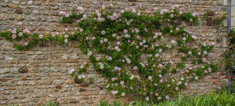 拉珀特利住宿加早餐旅馆(Chambres d'Hôtes la Pocterie)图片