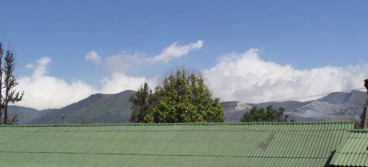 布罗莫柏迈1号(Bromo Permai 1)图片