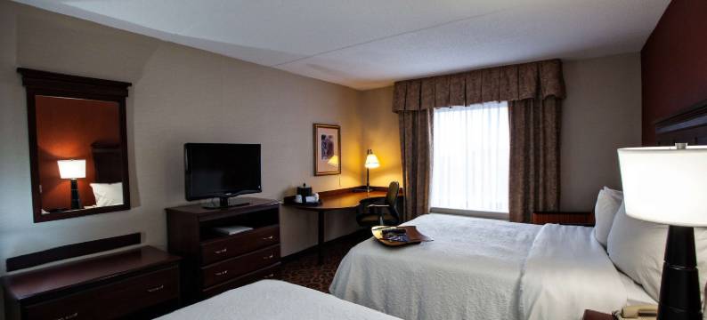 纳帕尼希尔顿欢朋酒店(Hampton Inn by Hilton Napanee)图片