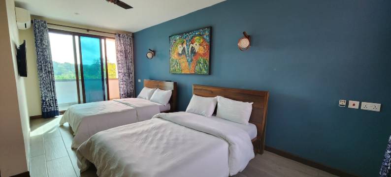 Aleri的花园(Aleri's Garden)图片