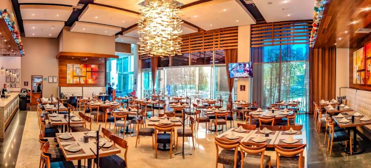 墨西哥普埃布拉安荷洛波里斯希尔顿花园酒店(Hilton Garden Inn Puebla Angelópolis)图片