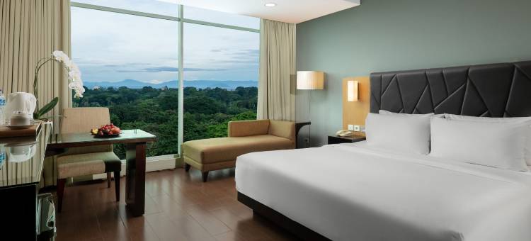 勿里洞桑提卡首选海滩度假酒店(Hotel Santika Premiere Beach Resort Belitung)图片