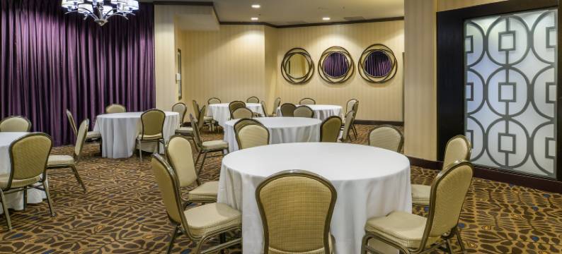 希尔顿安泊酒店-圣路易斯机场(Embassy Suites by Hilton St. Louis Airport)图片