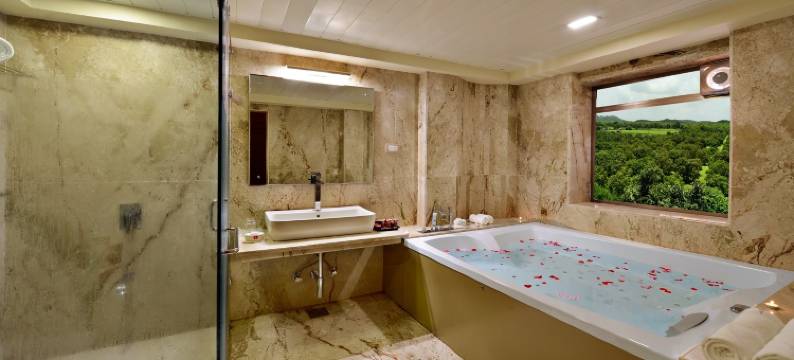 萨罗瓦尔珀尔提科酒店(Sarovar Portico Sasangir)图片