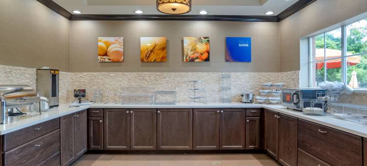 舒适套房酒店(Comfort Suites)图片