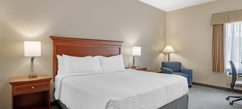 贝斯特韦斯特优质行政套房酒店(Best Western Plus Executive Hotel  Suites)图片