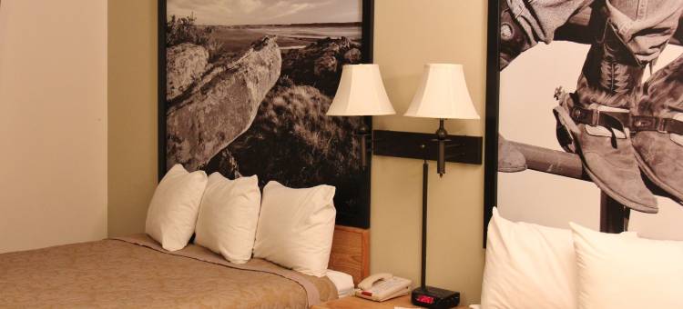 霍姆斯特德套房酒店(Homestead Inn and Suites)图片