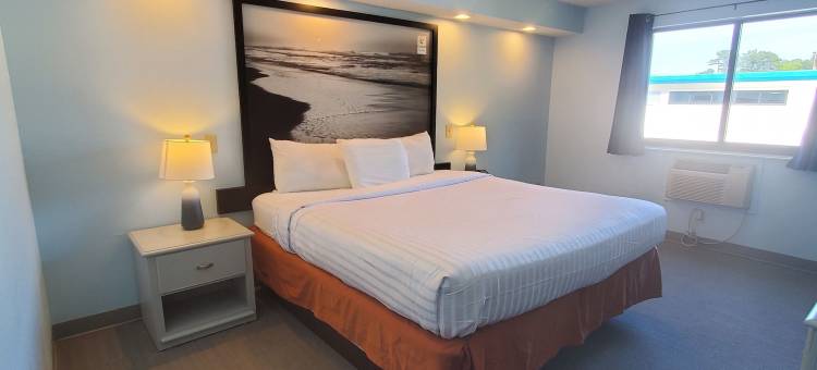 沿海酒店及套房 - 威尔明顿, NC(Coastal Inn & Suites)图片