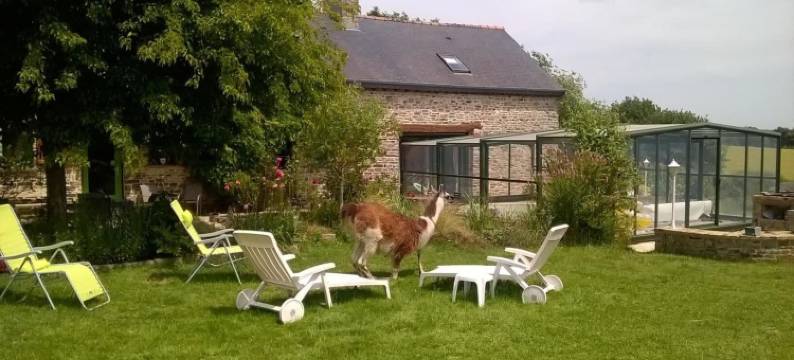 拉博迪费戈旅馆(La P'tit' Fugue)图片