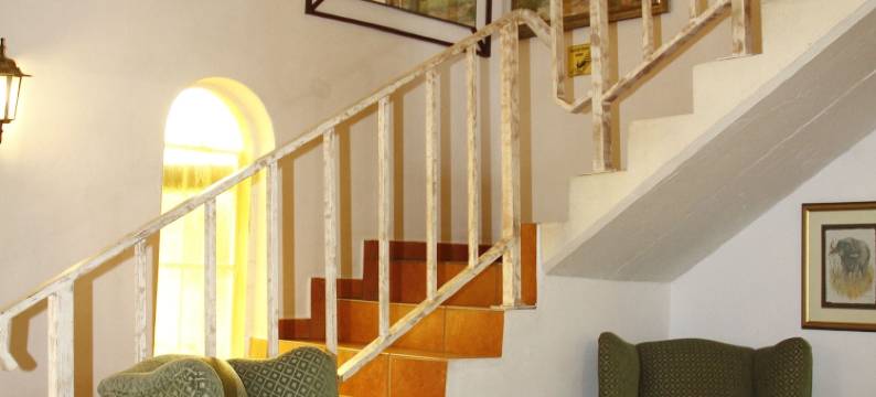 卡拉哈里民宿(Kalahari Guest House)图片