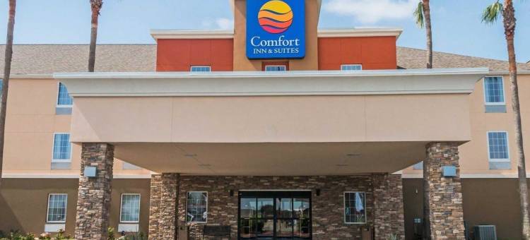 舒适酒店及套房(Comfort Inn & Suites Pharr/McAllen)图片
