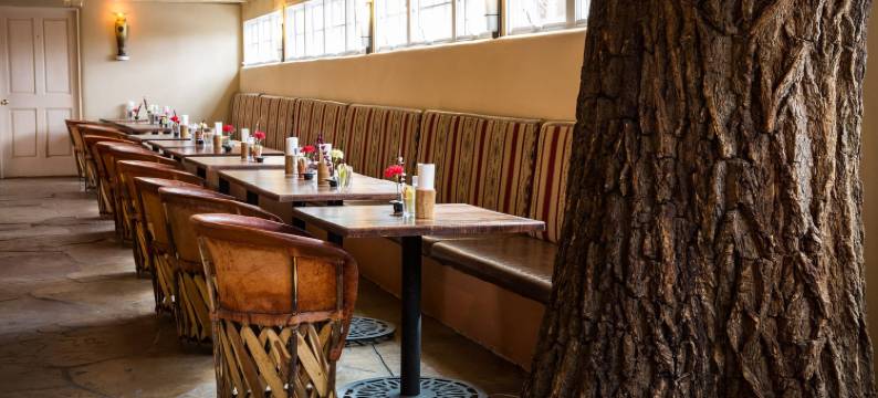 拉斯帕洛马斯酒店(Las Palomas)图片