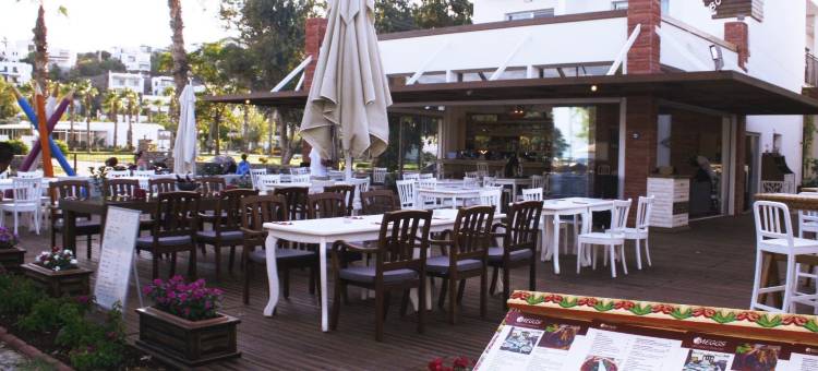 梅格斯博德卢姆海滩酒店(Meggs Bodrum Beach Hotel)图片