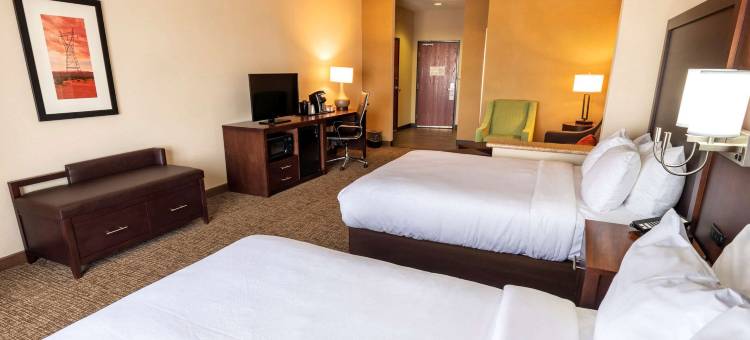 西凤凰城古德伊尔舒适套房酒店(Comfort Suites Goodyear-West Phoenix)图片