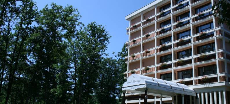 大君主酒店(Le Grand Monarque)图片