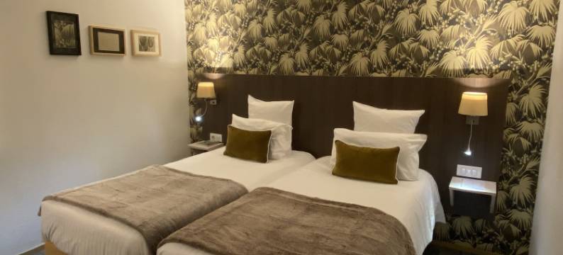 欧洲弗朗西斯涛特尔酒店(Cit'Hotel Hôtel de France et d'Europe)图片